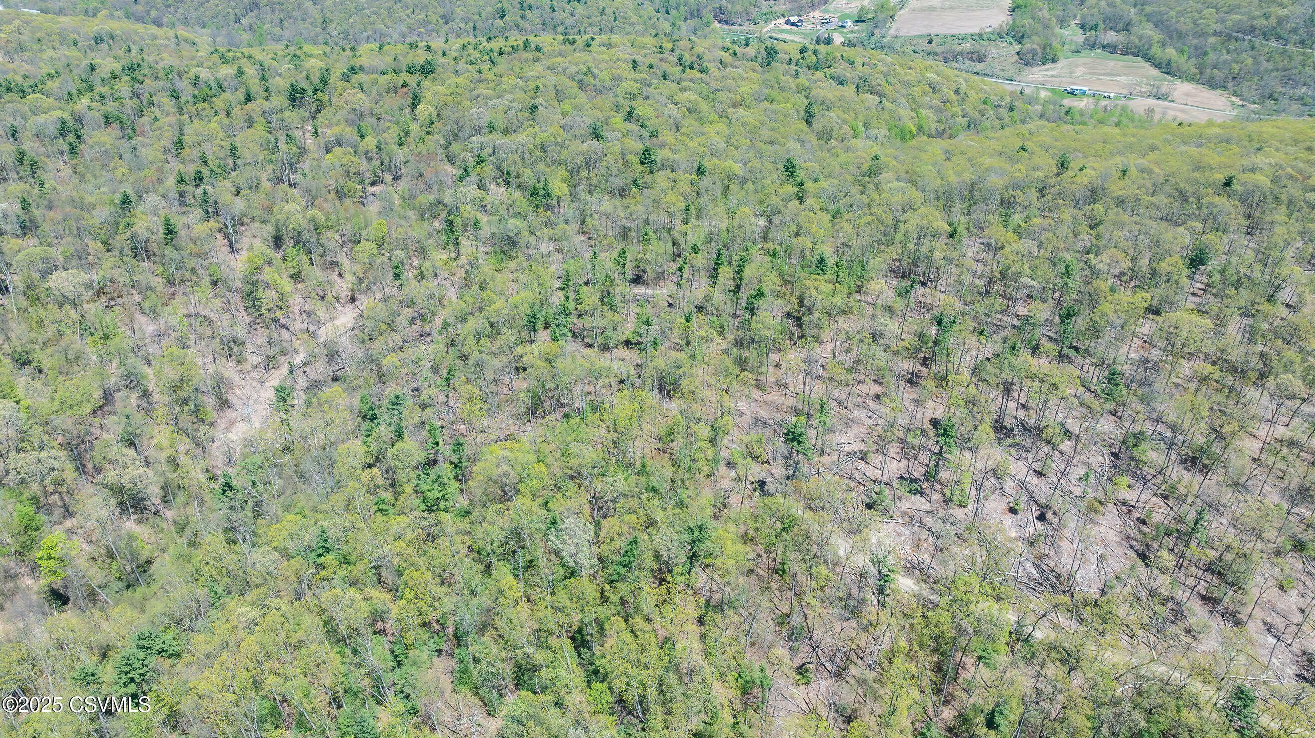 Property Photo: Lot 4 Patton Hill Road PA 17846