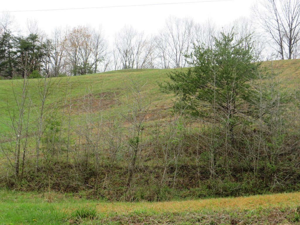 Property Photo:  0 Ky Route 580  KY 41256 