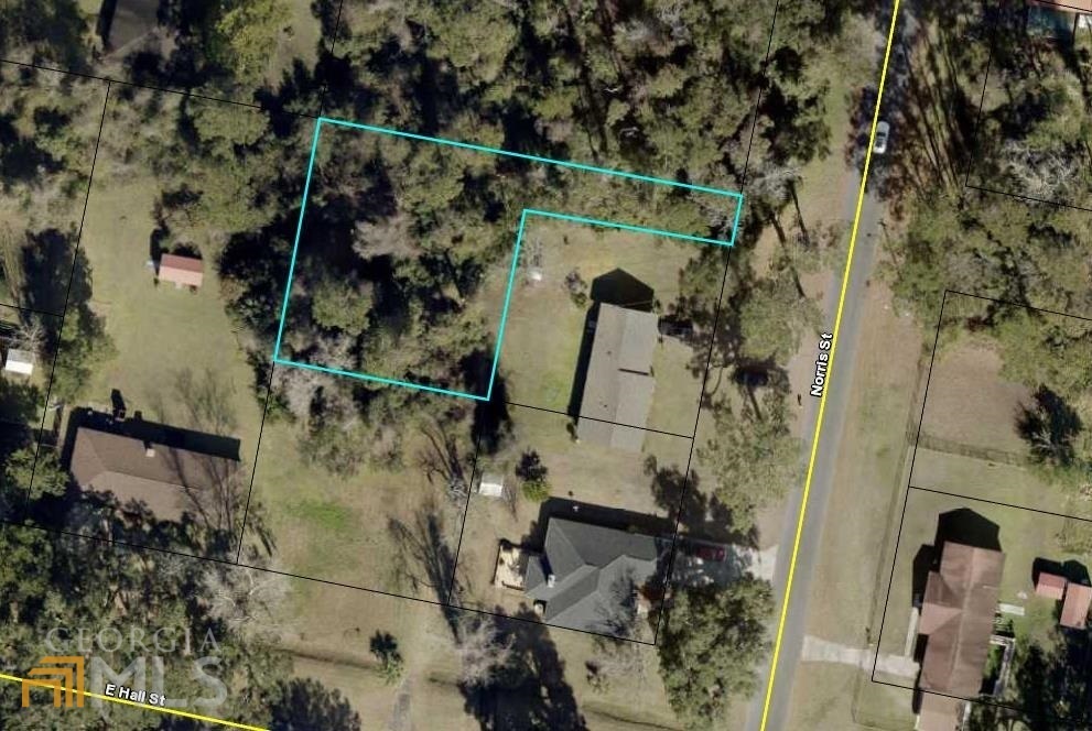 Property Photo: 805 Norris Street GA 31558