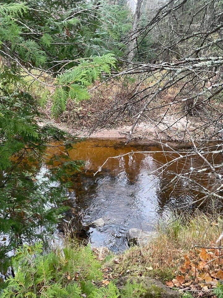 Property Photo:  408 Green Garden Road  MI 49855 