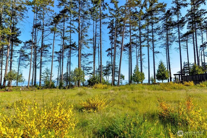 Property Photo:  1020  Walker Street  WA 98363 