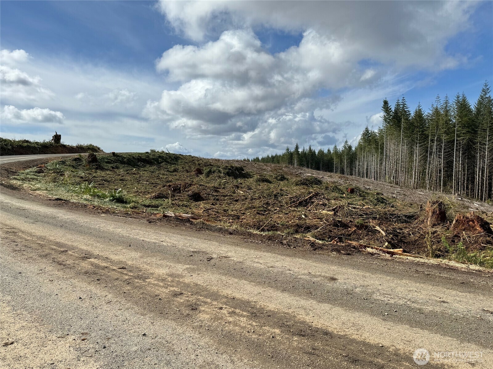 Property Photo: 0 August Road WA 98570