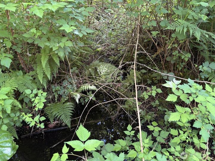 Property Photo: 0 Anderson Road WA 98274