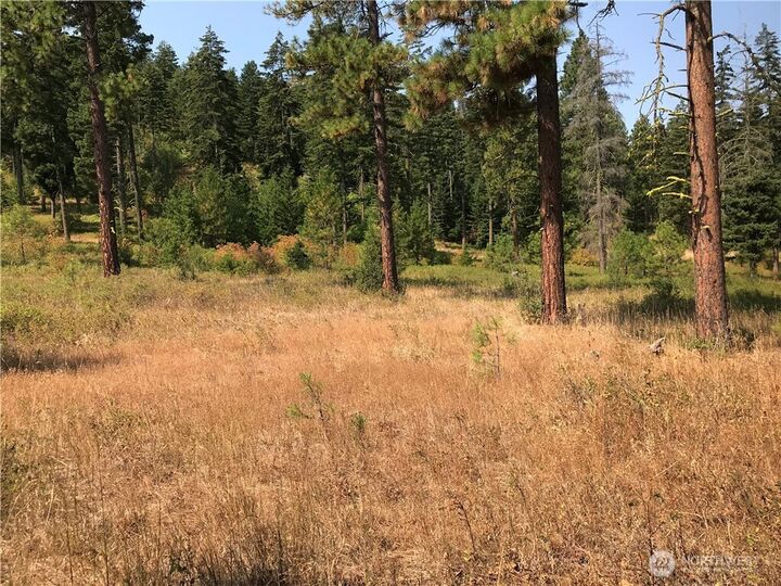 Property Photo: 0 Lot G Masterson Road WA 98922