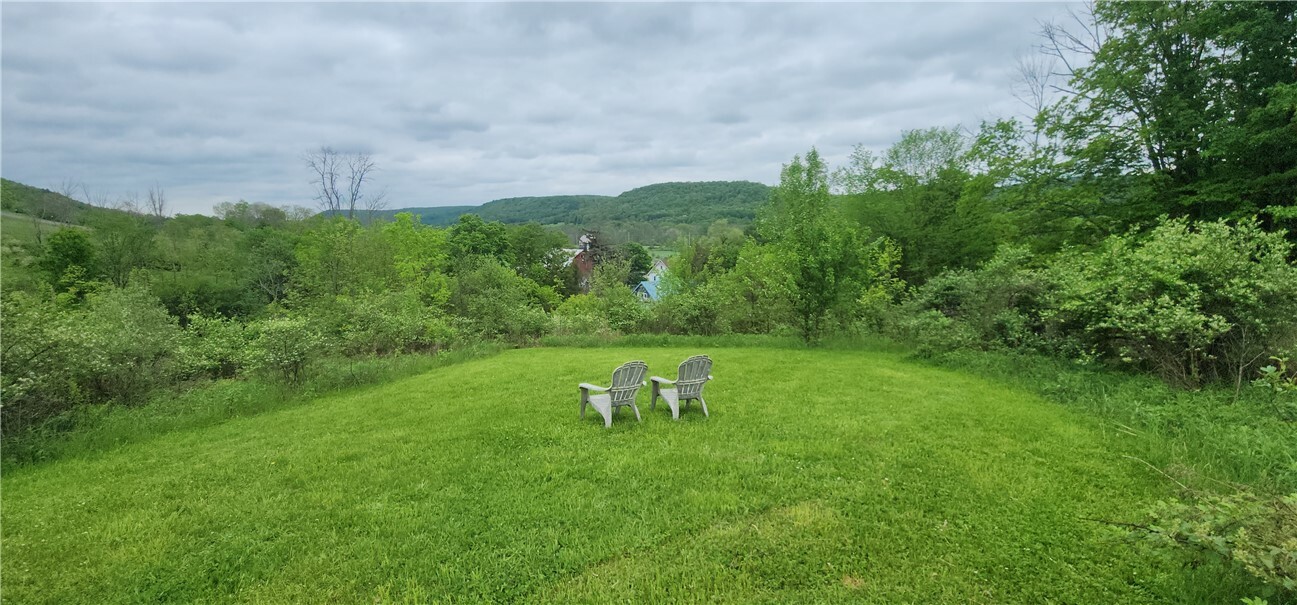 Property Photo: 656 Candor Rd NY 14883