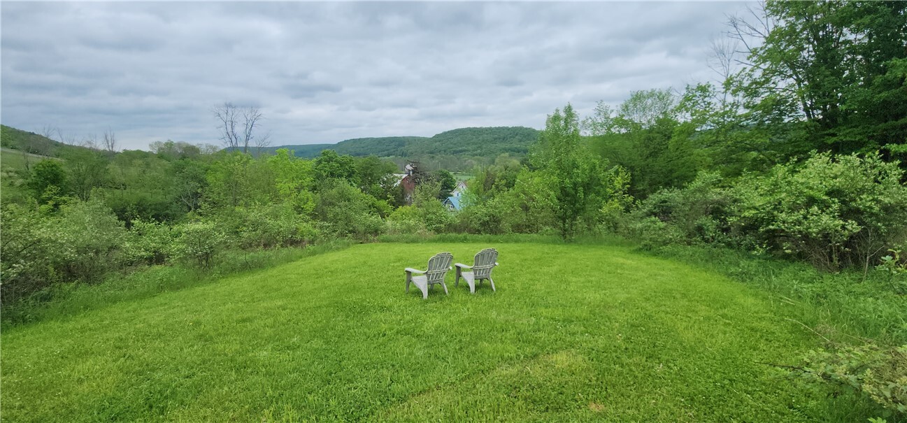 Property Photo: 656 Candor Rd NY 14883