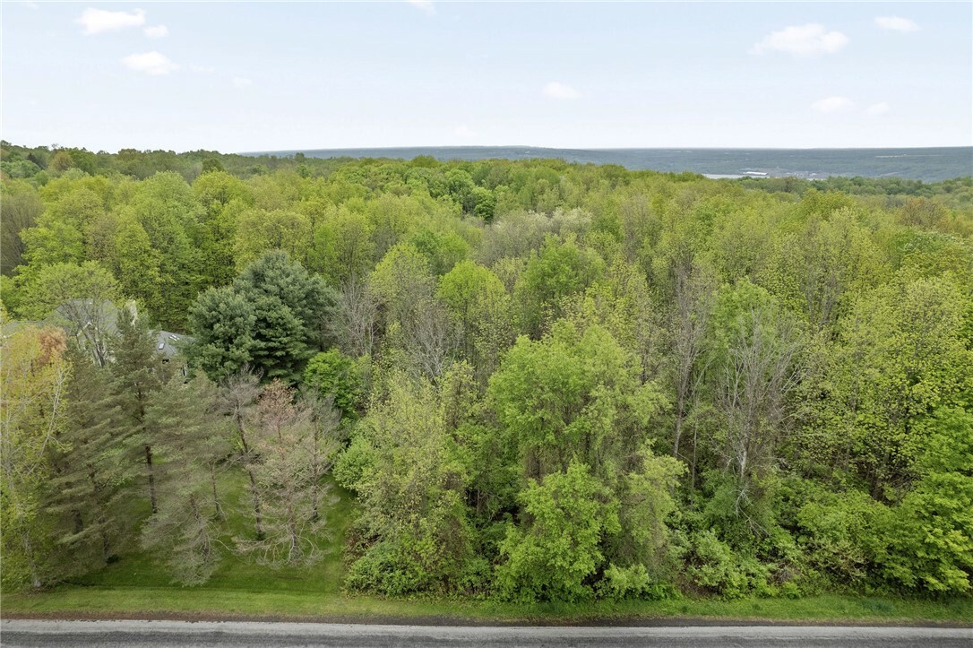 Property Photo: 1195 Hinging Post Road NY 14850