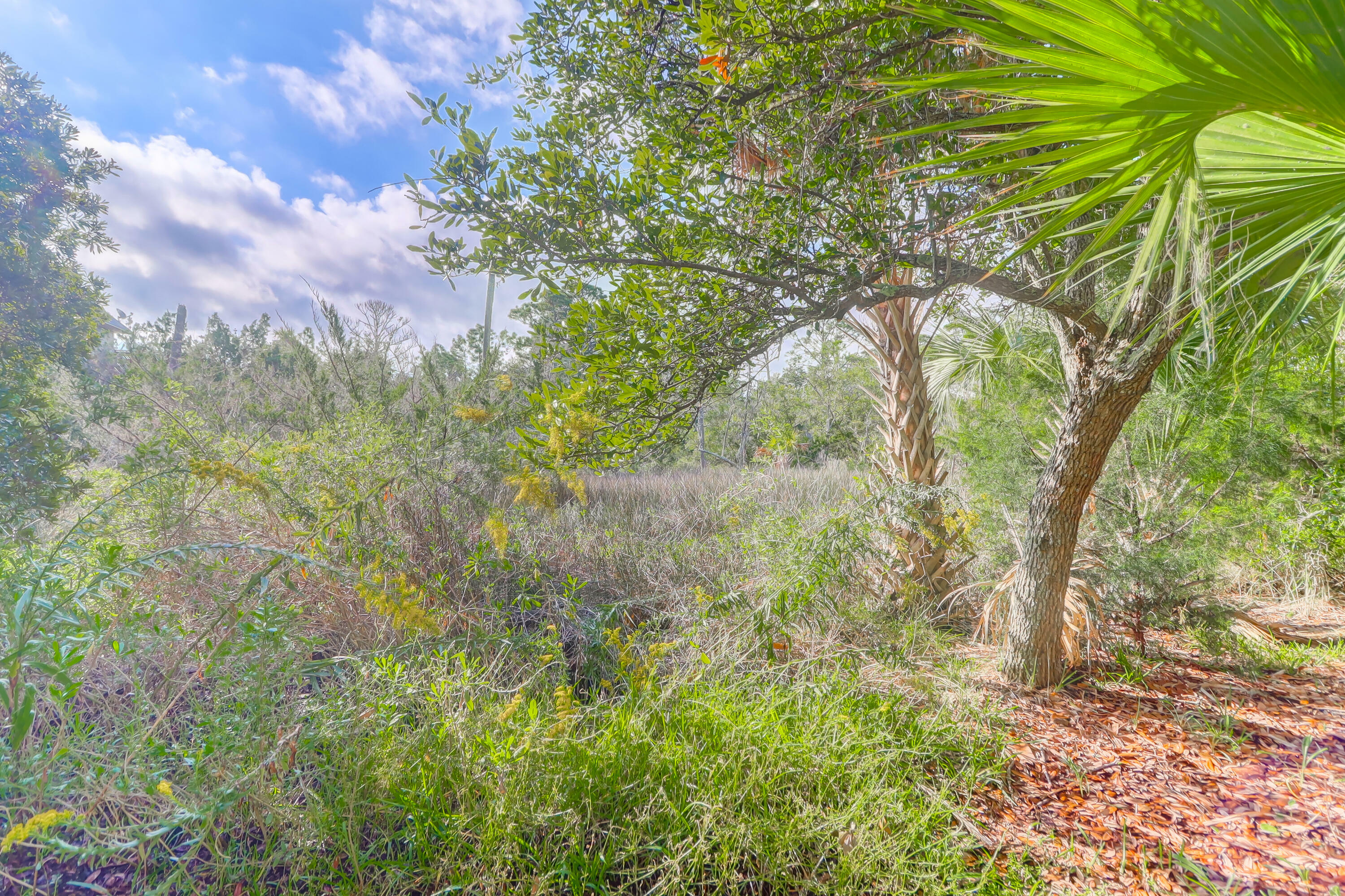 Property Photo: 315 Shadow Race Lane SC 29439