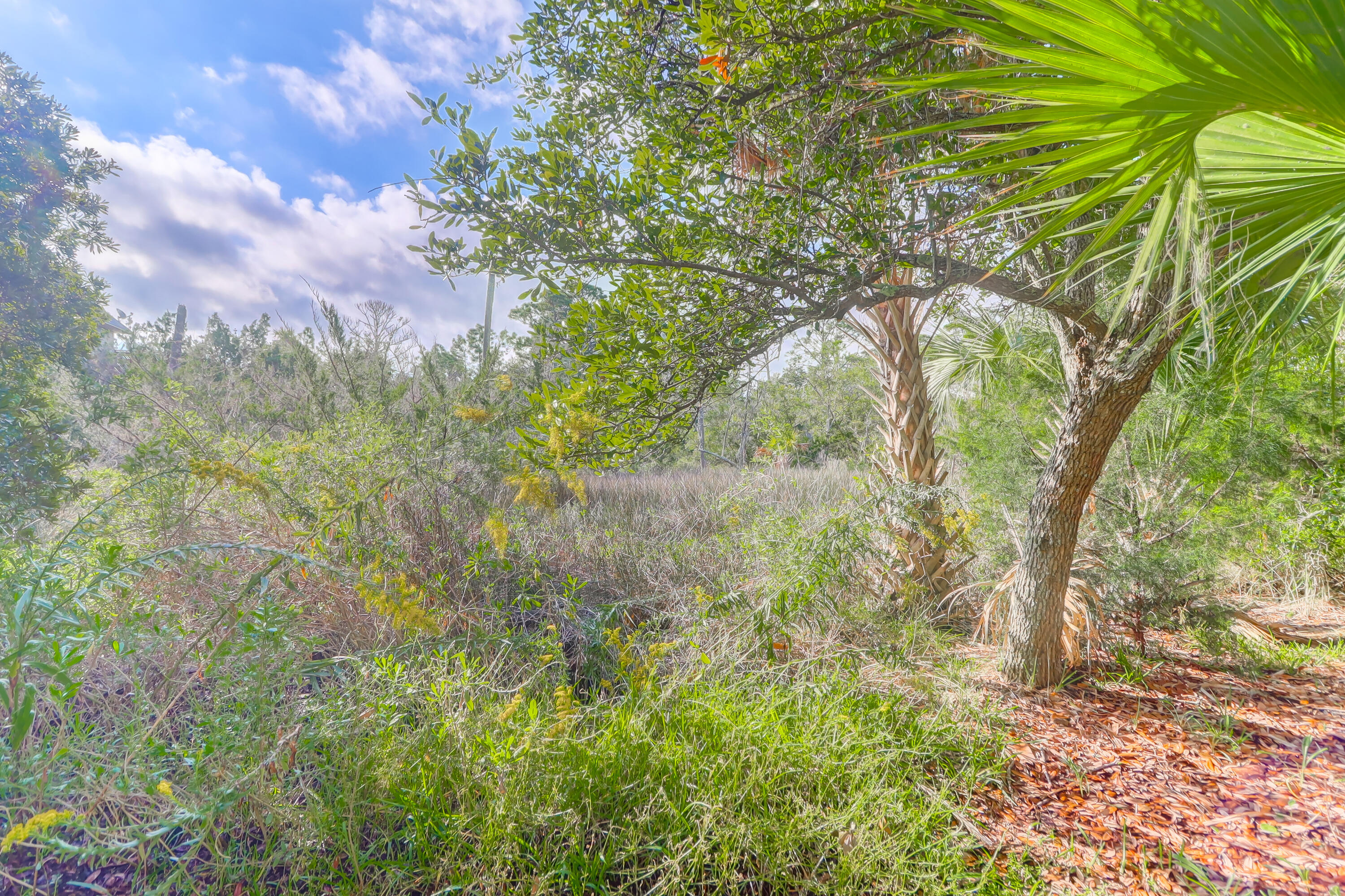 Property Photo:  315 Shadow Race Lane  SC 29439 