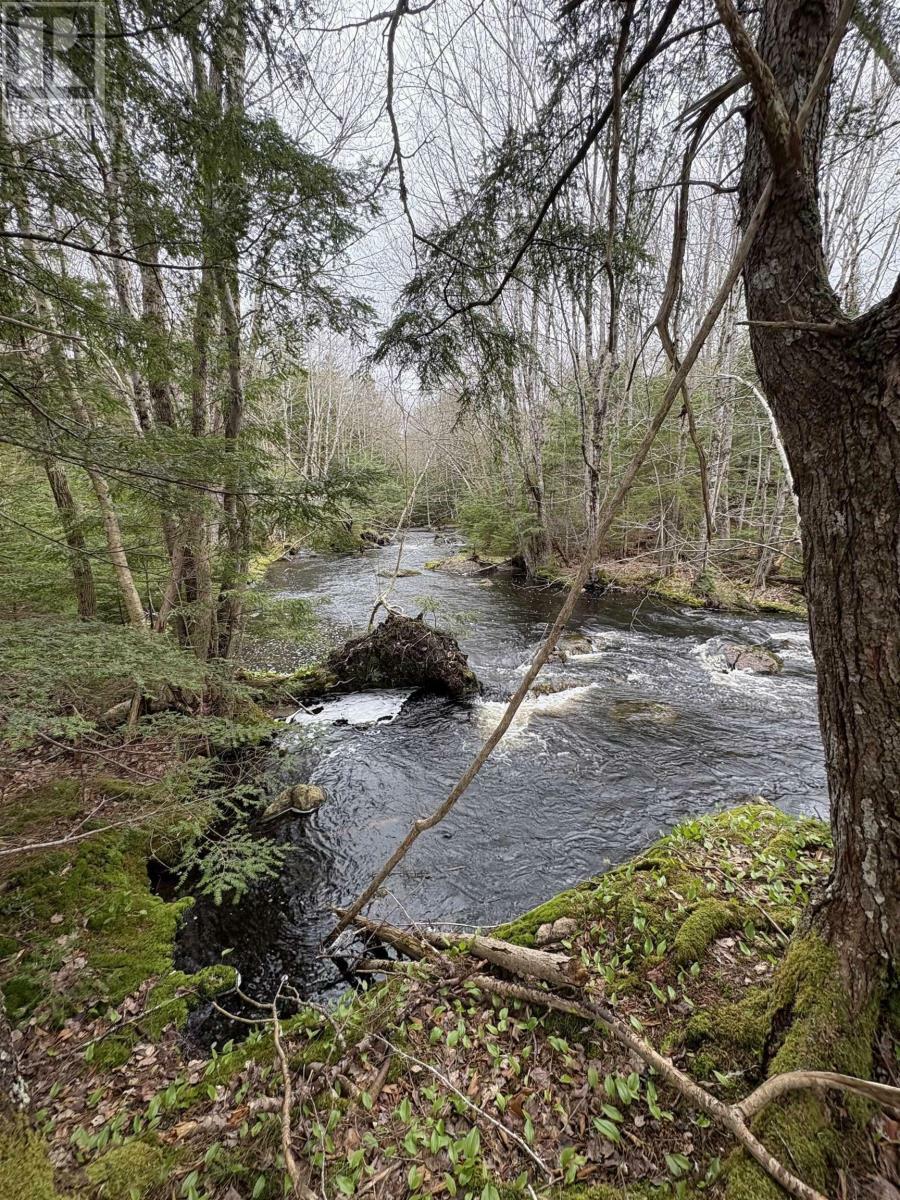 Property Photo:  Lot Mc - 6 New Ross Road  NS B0N 2T0 
