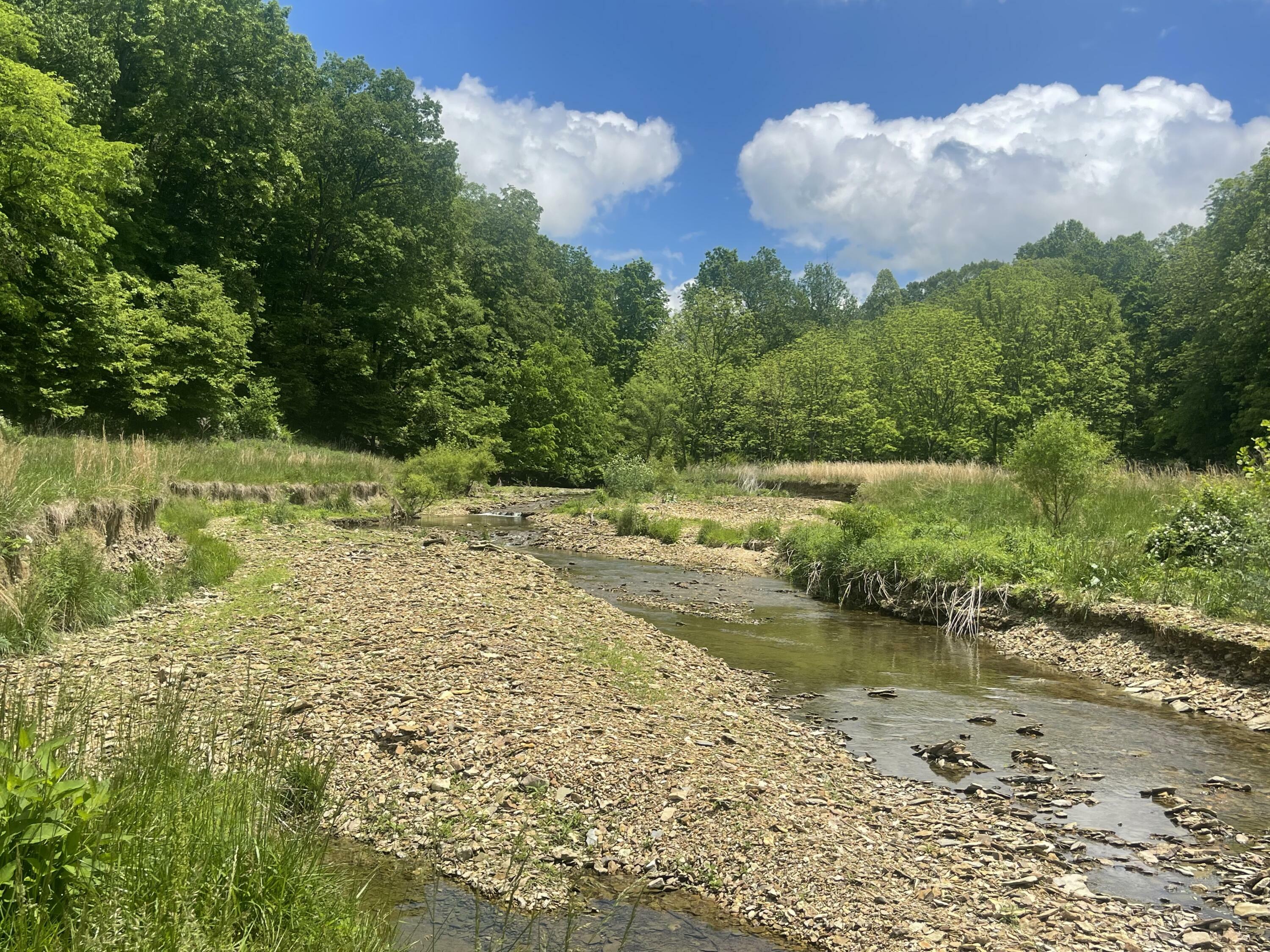 Property Photo: 61 Acres Jw Harris Road KY 42642