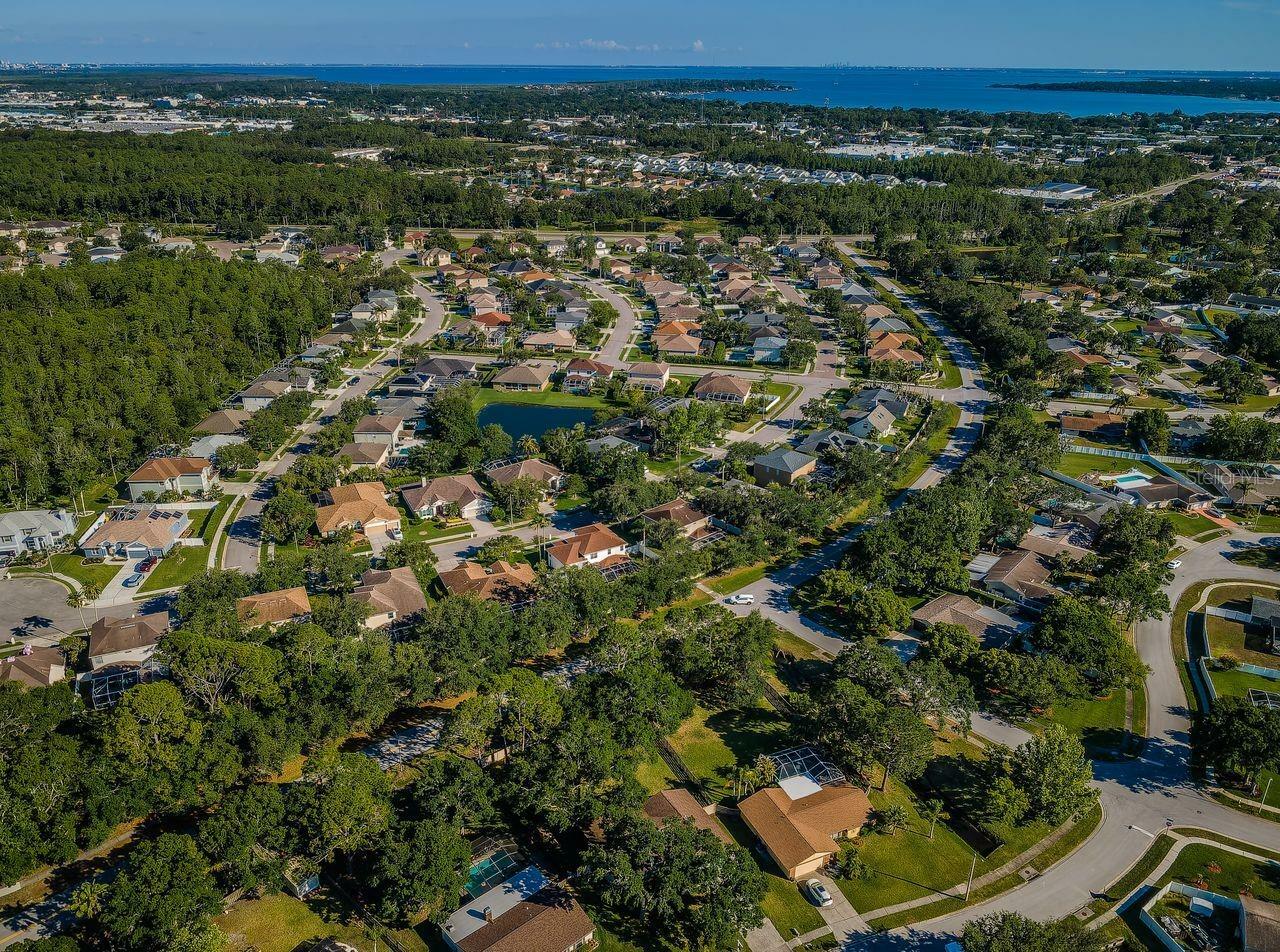 Property Photo: 455 Cypress Lake Court FL 34677