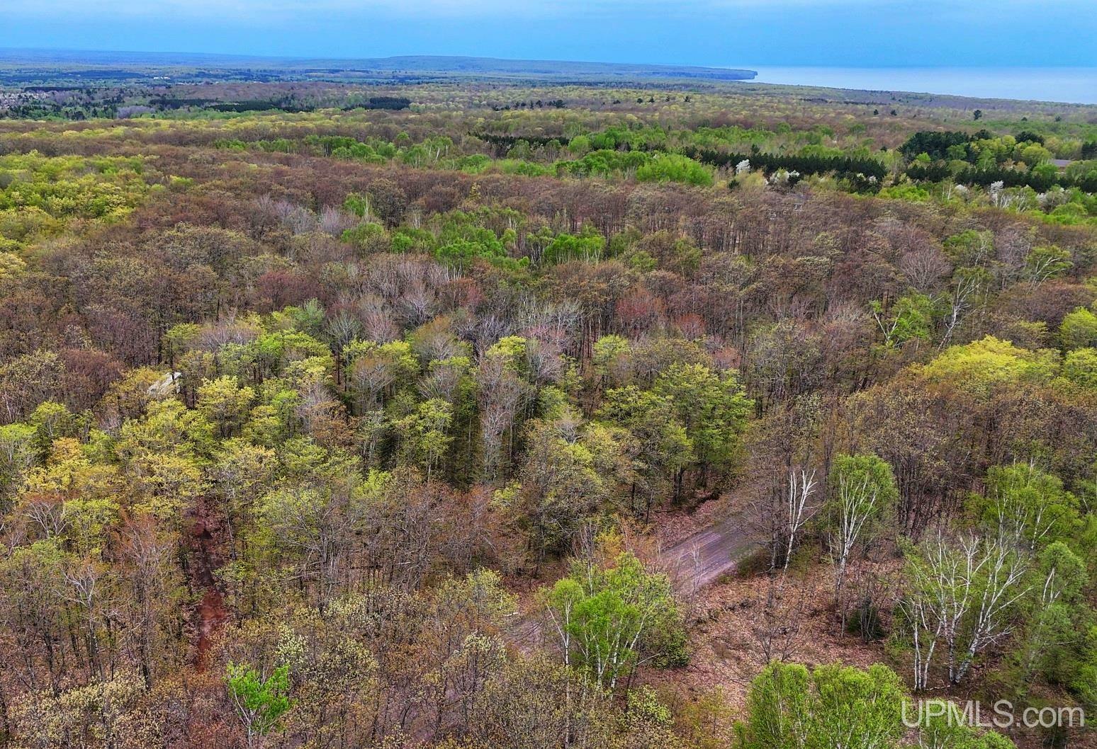 Property Photo: 53554 N Superior Road MI 49931