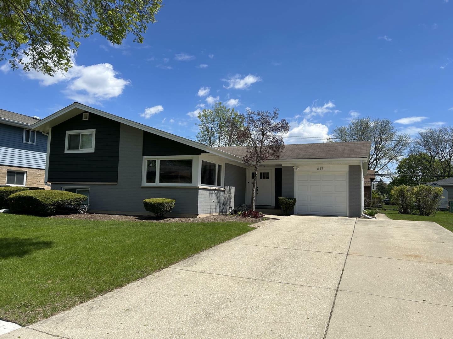 Property Photo: 617 S Albert Street IL 60056