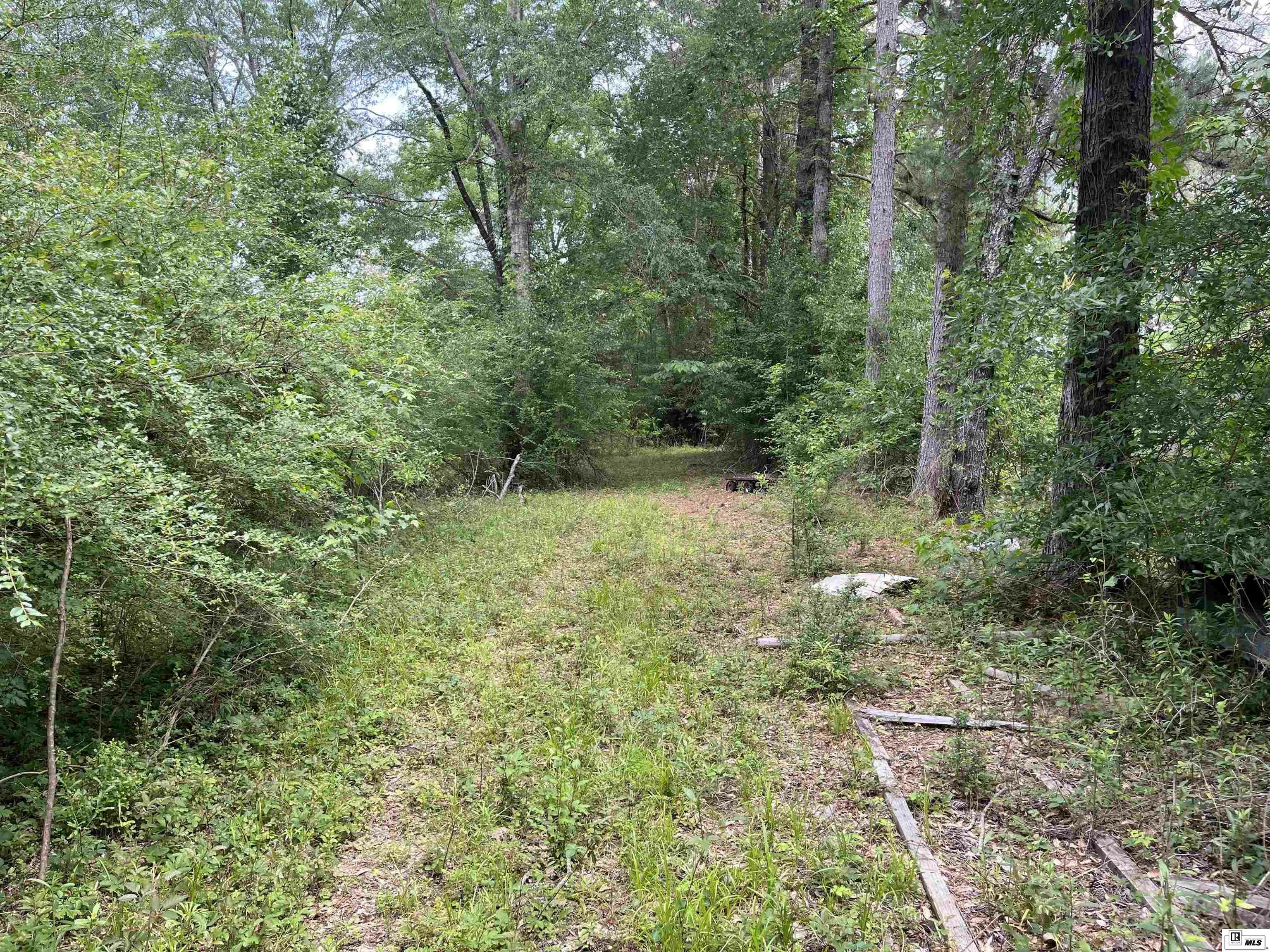 Property Photo:  000 Winnfield Road  LA 71292 
