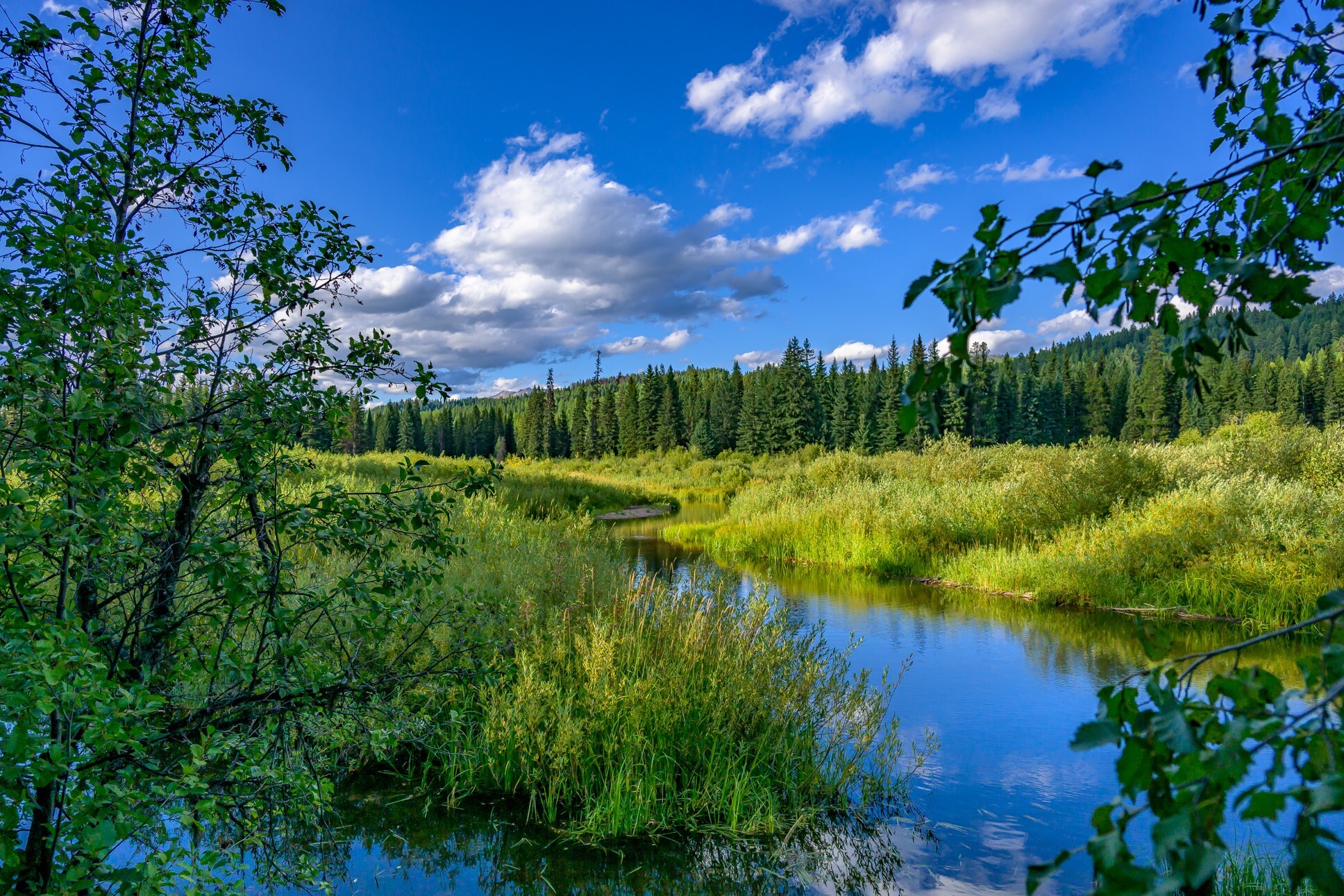 Property Photo:  002 Route 83  MT 59868 