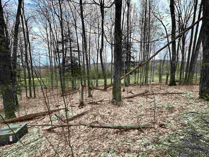 Property Photo: Unit 19 Forest 19 MI 49615