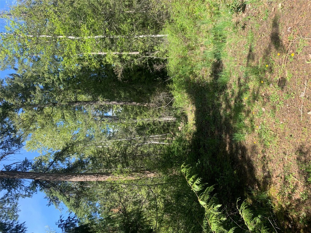 Property Photo: Lot A Squilax-Anglemont Road BC V0E 1M4