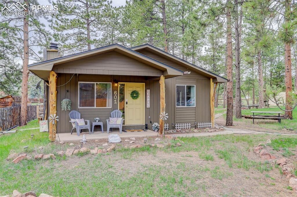 Property Photo: 601 Dallas Alley CO 80863