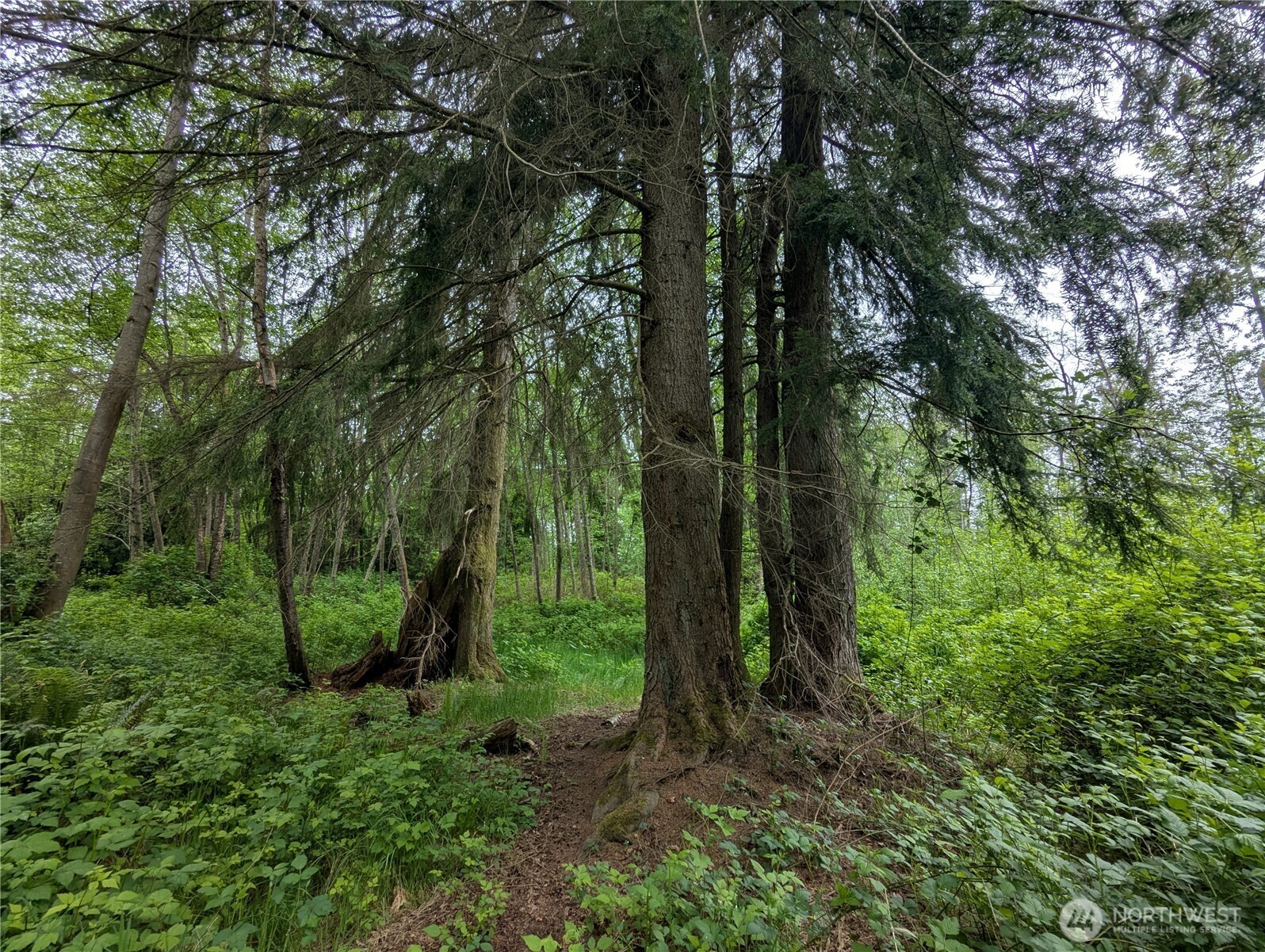 Property Photo: 21916 123rd Avenue NE WA 98223