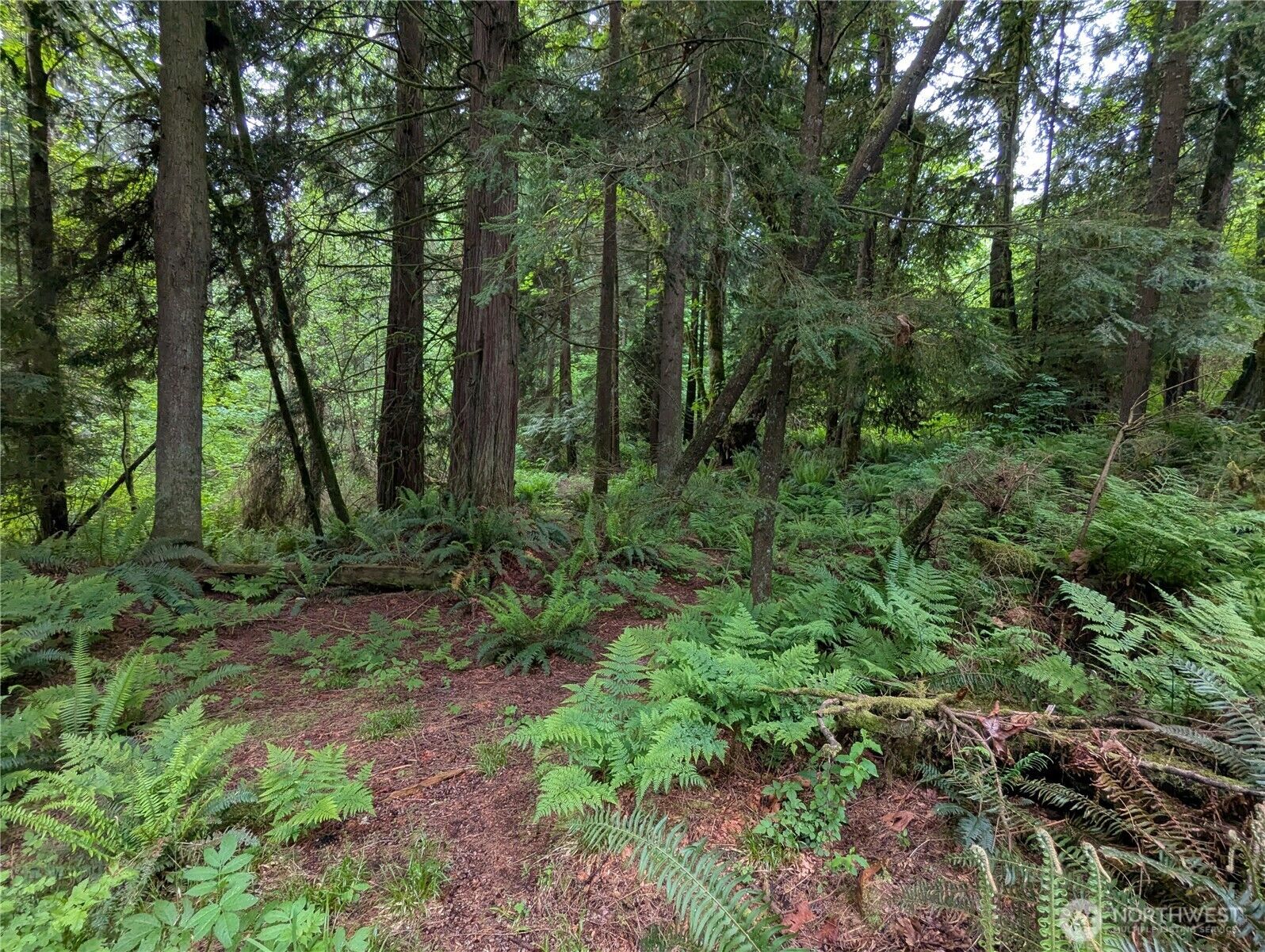 Property Photo: 21916 123rd Avenue NE WA 98223