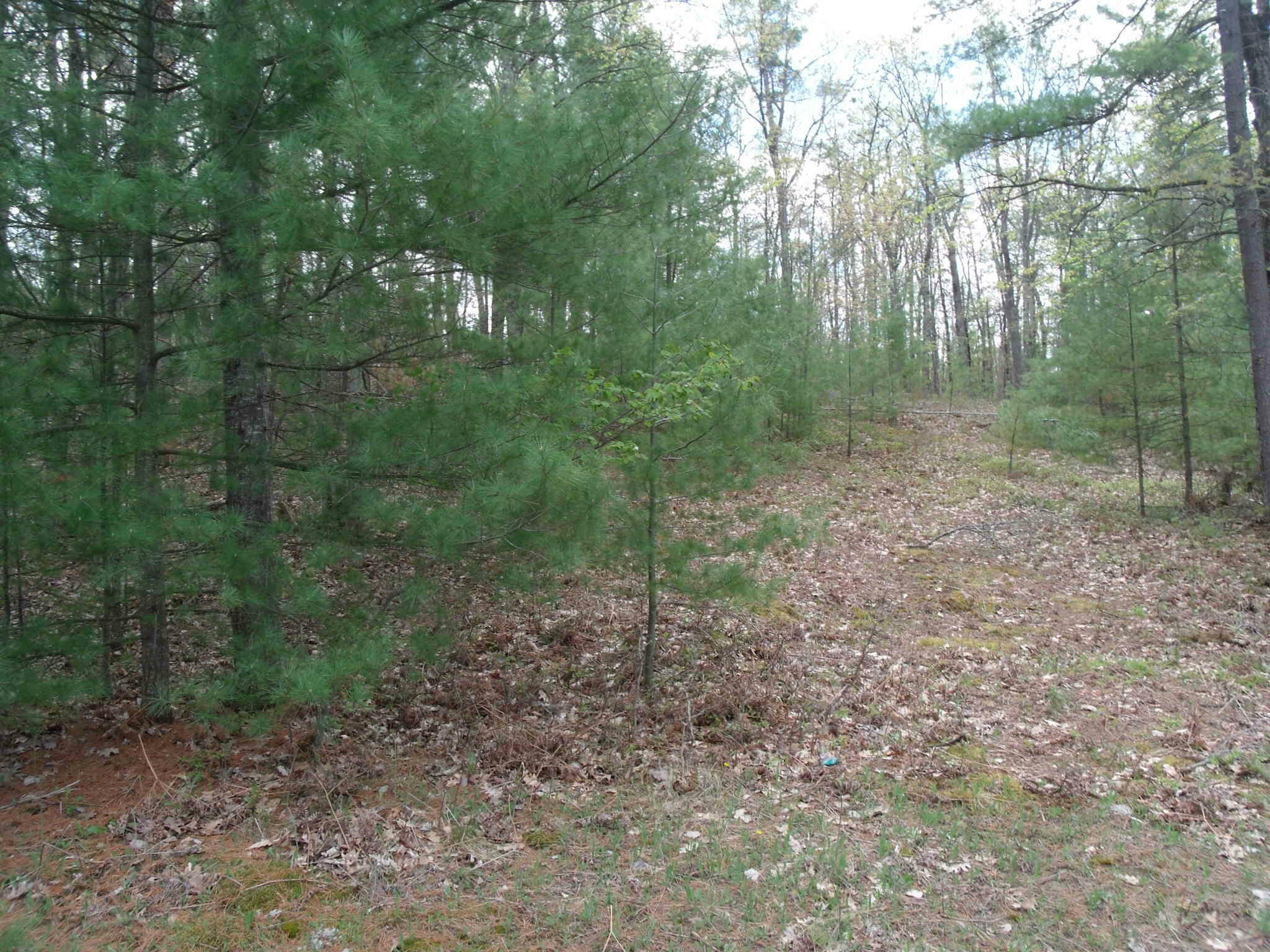 Property Photo: 6845 Sequoia Drive MI 49749