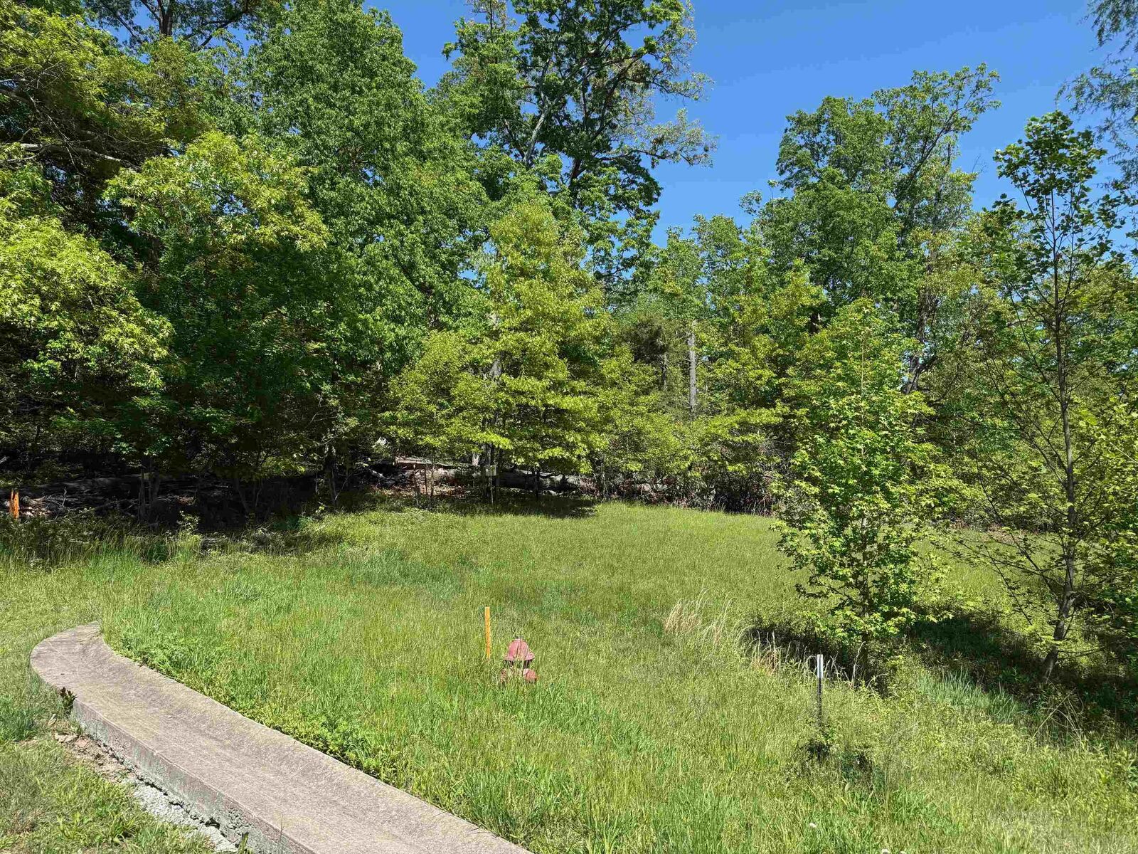 Property Photo:  Lot #9 Meadow Glen Road  KY 41139 