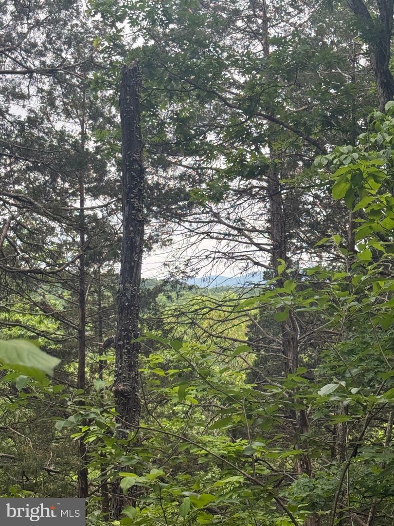 Property Photo: River Ridge Drive VA 22645