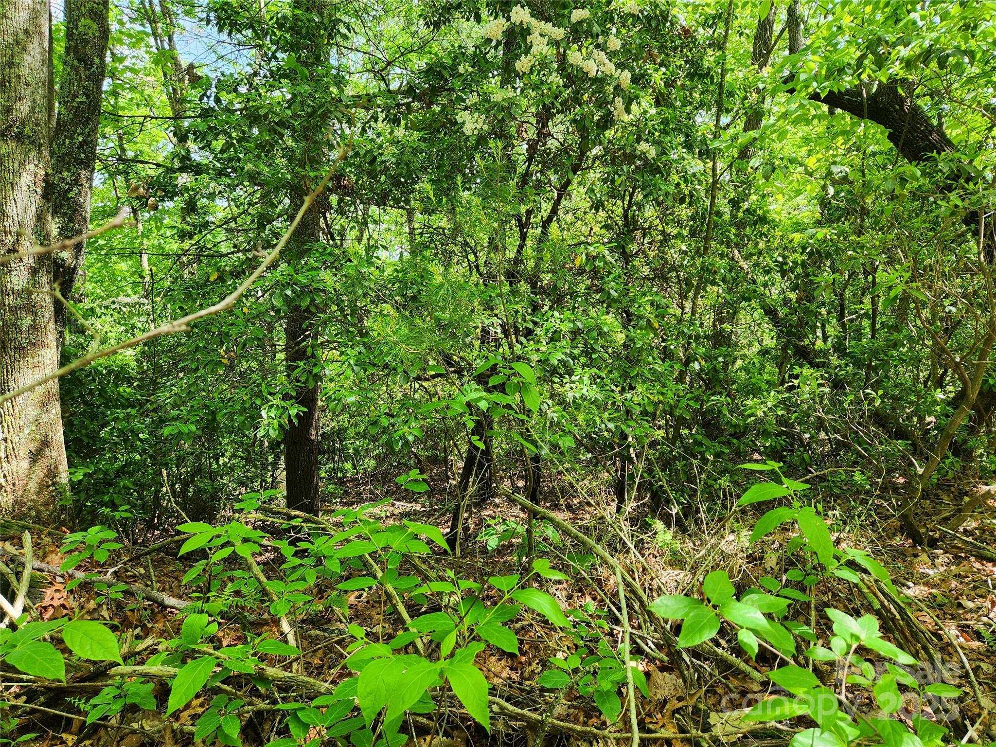Property Photo:  000 Boone Top None  NC 28790 
