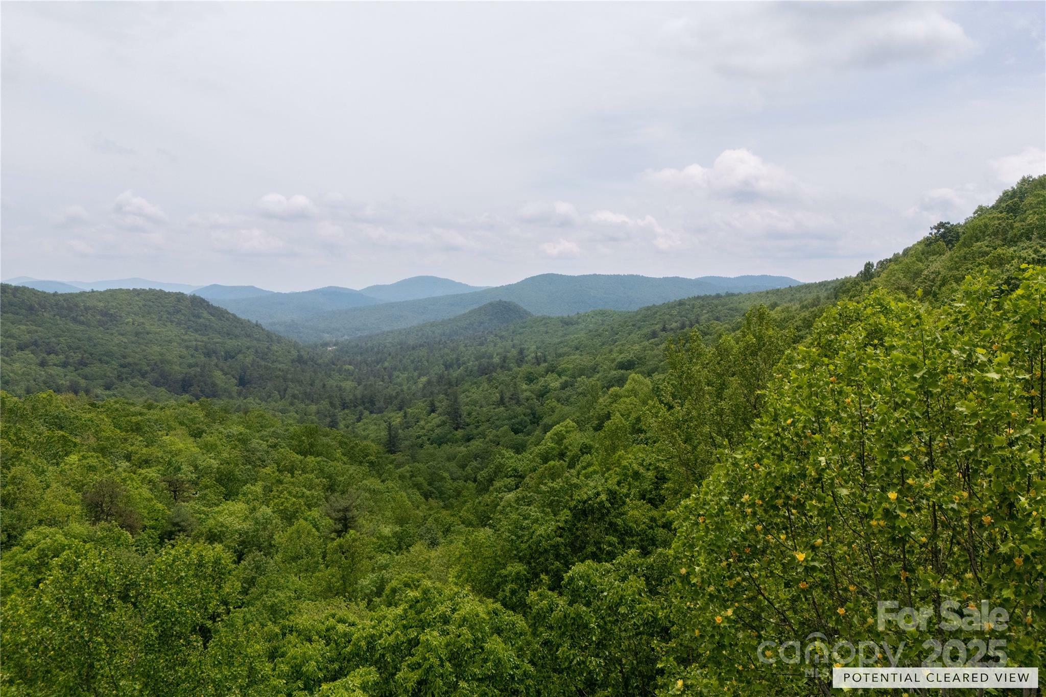 Property Photo: 000 Boone Top None NC 28790