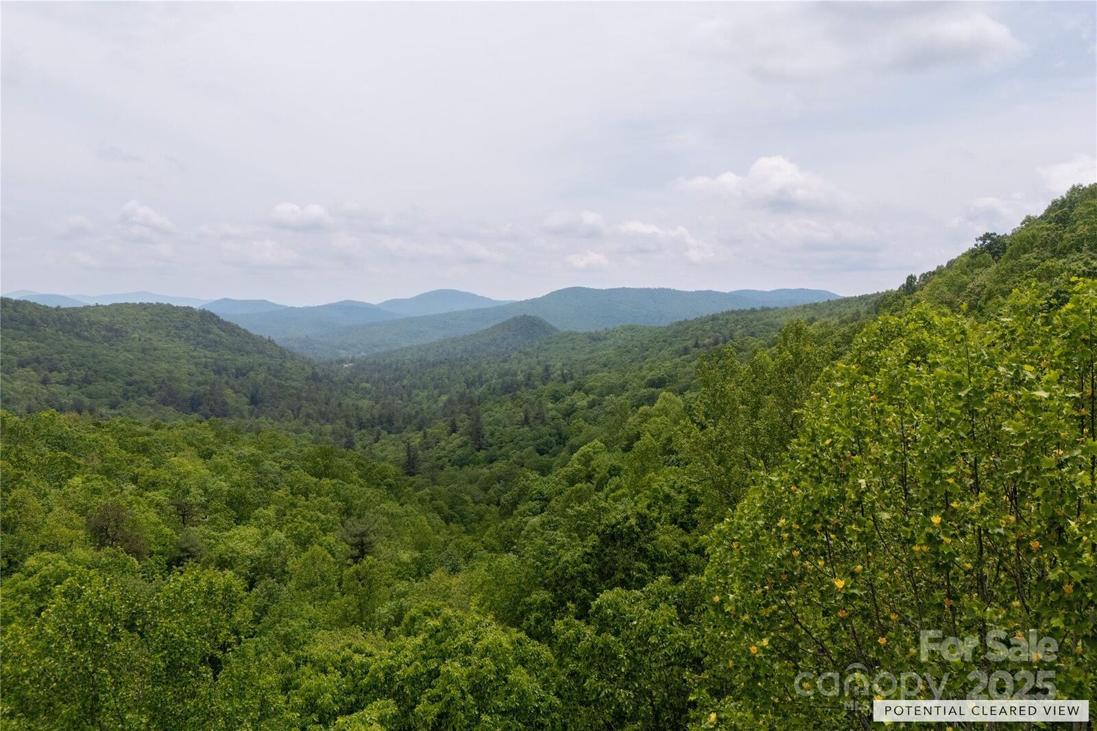 Property Photo: 000 Boone Top None NC 28790