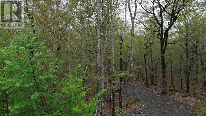 Lot 46 Turner Point Drive — photo 1