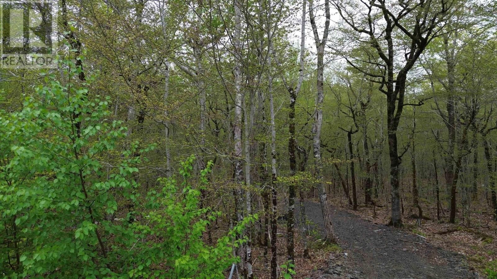 Property Photo:  Lot 46 Turner Point Drive  NS B0J 2E0 
