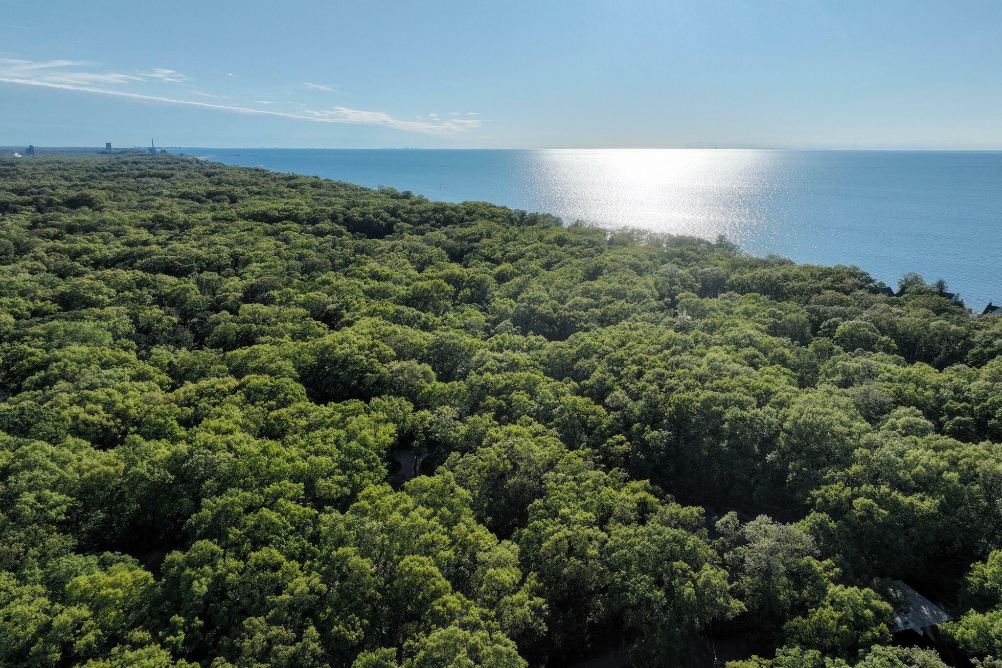 Property Photo: 0 Pottowattomie Trail IN 46360