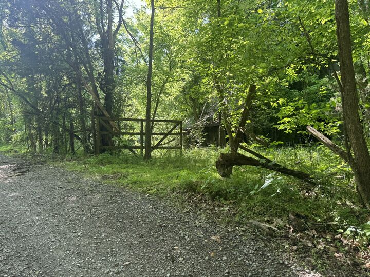 0 Walker Rd  Indian Mound TN 37079 photo