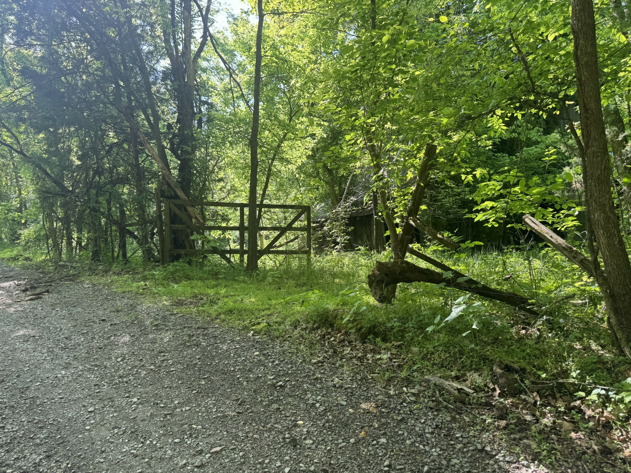 Property Photo: 0 Walker Rd TN 37079