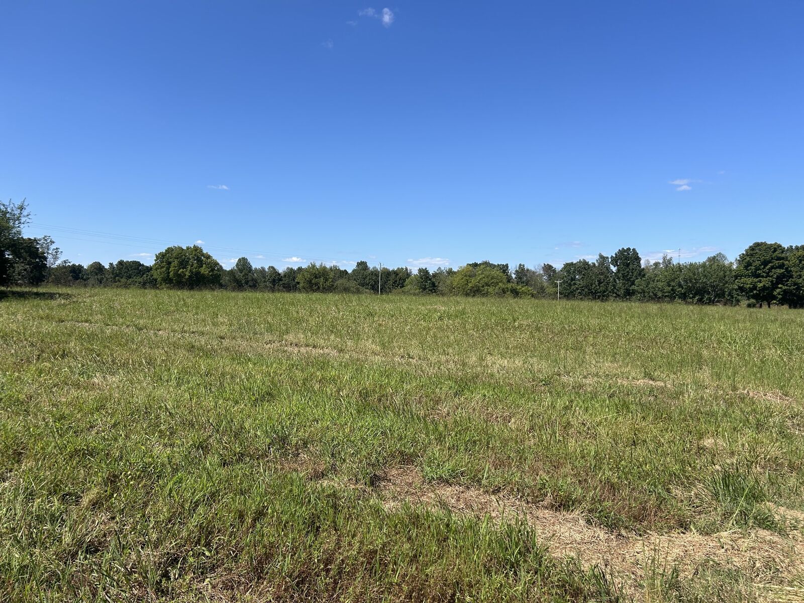 Property Photo:  236 Beartown Rd  TN 38469 