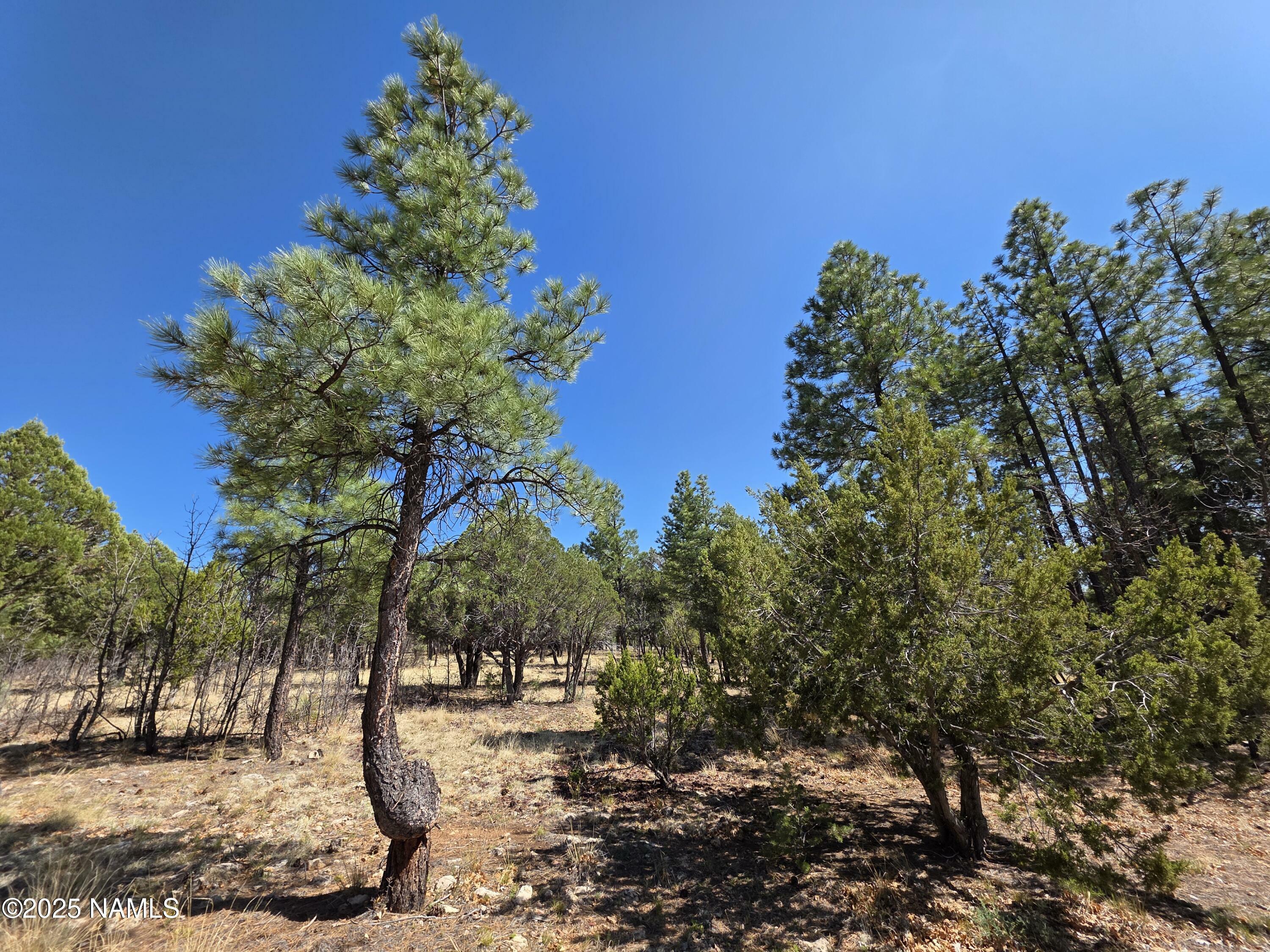 Property Photo:  3286 Roundup Lane  AZ 86024 