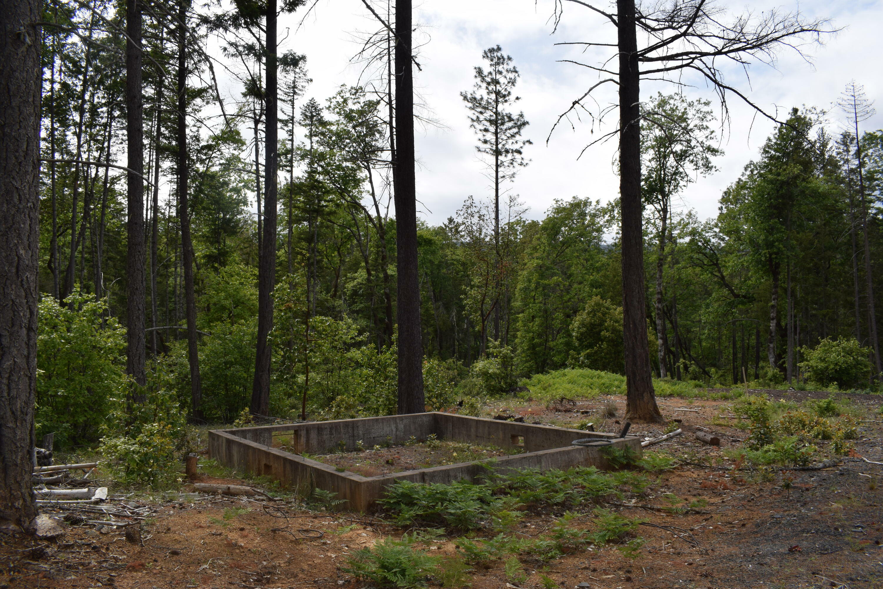 Property Photo: 35000 Redwood Highway OR 97523