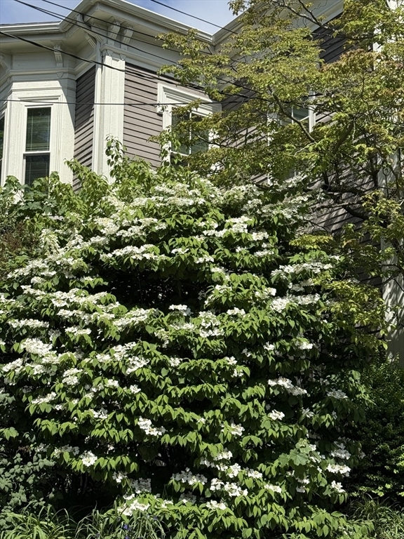 Property Photo: 19 Harvard Avenue 2 MA 02446