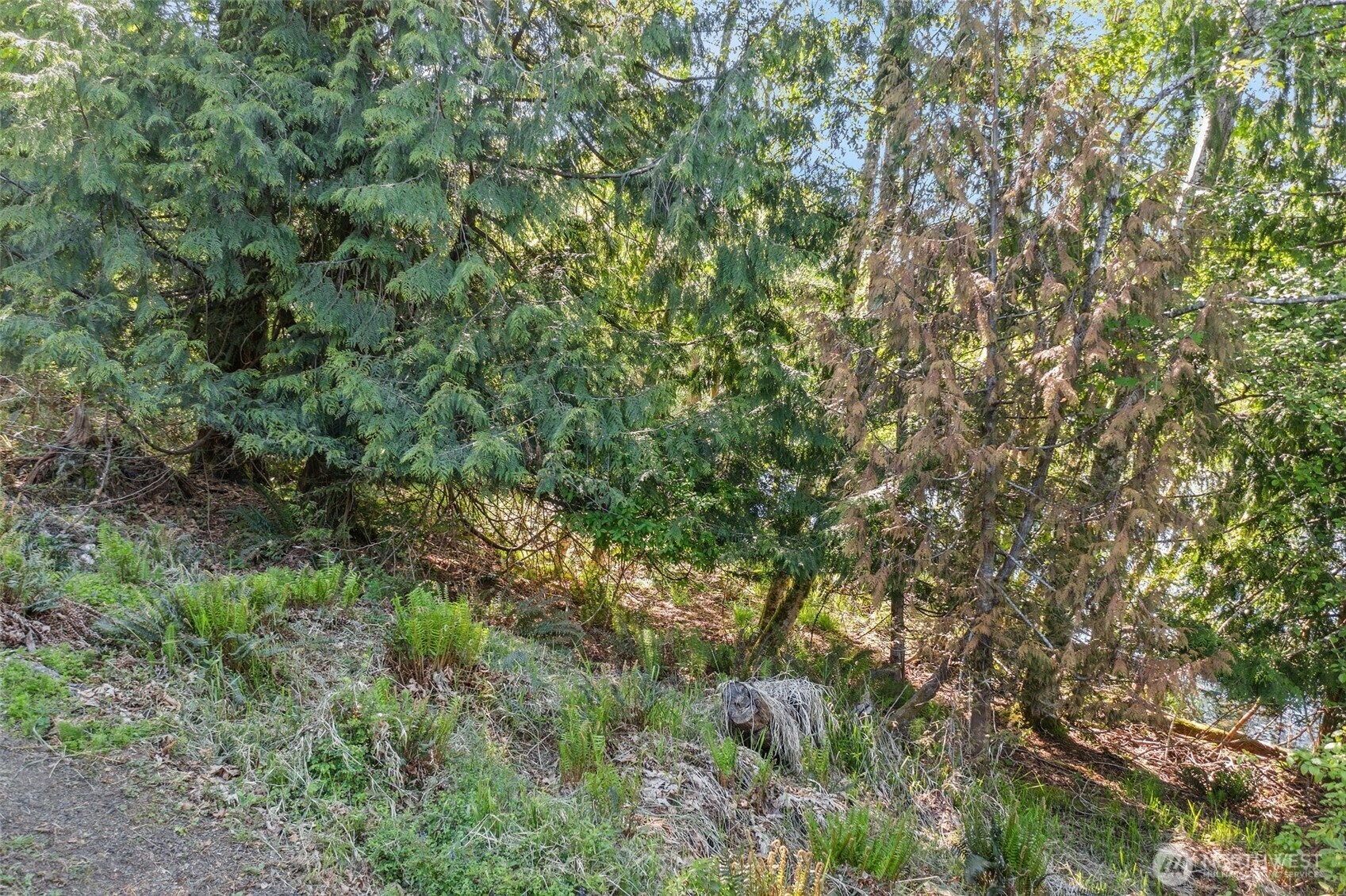 Property Photo: 1710 SE Crescent Drive WA 98584