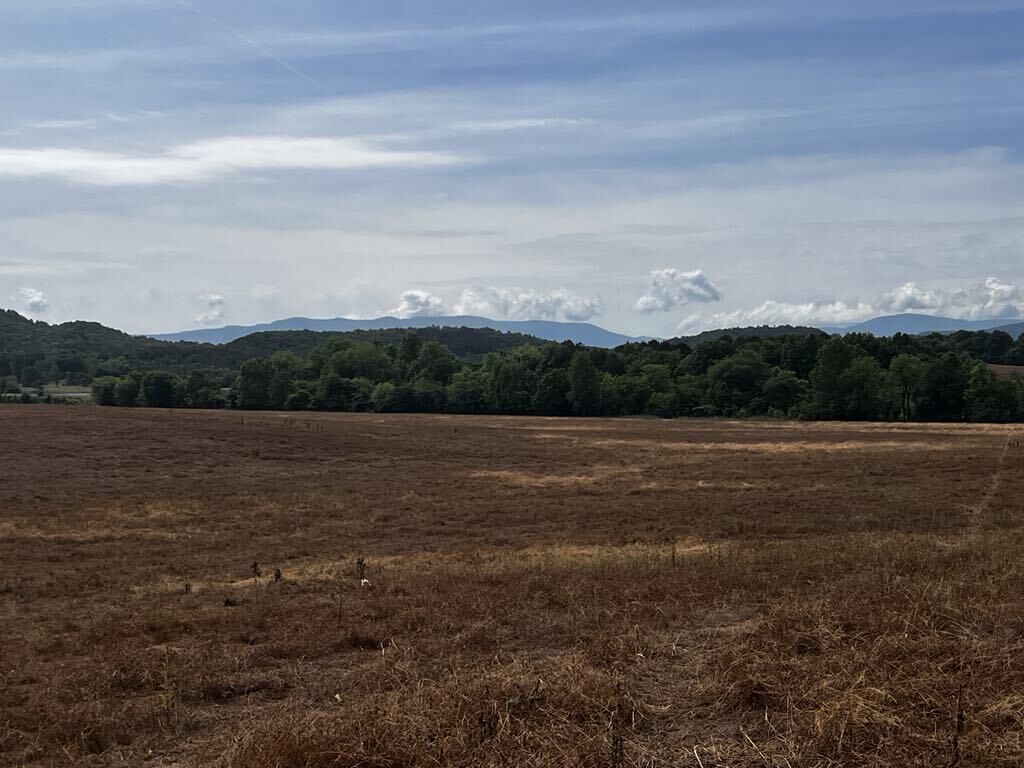 Property Photo:  10 Acres Highway 411  TN 37362 