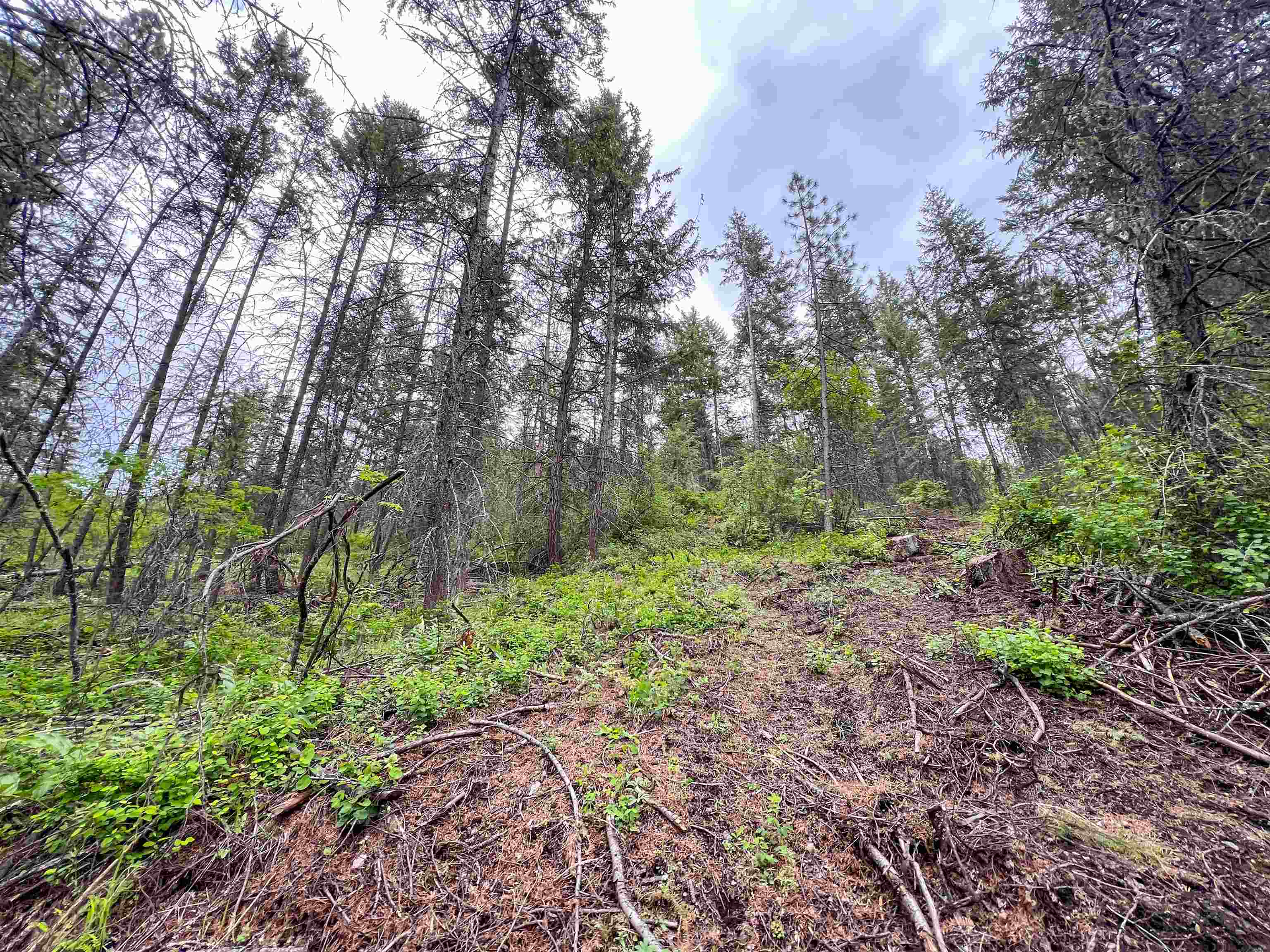 Property Photo: 3115 Beardslee Rd WA 99141