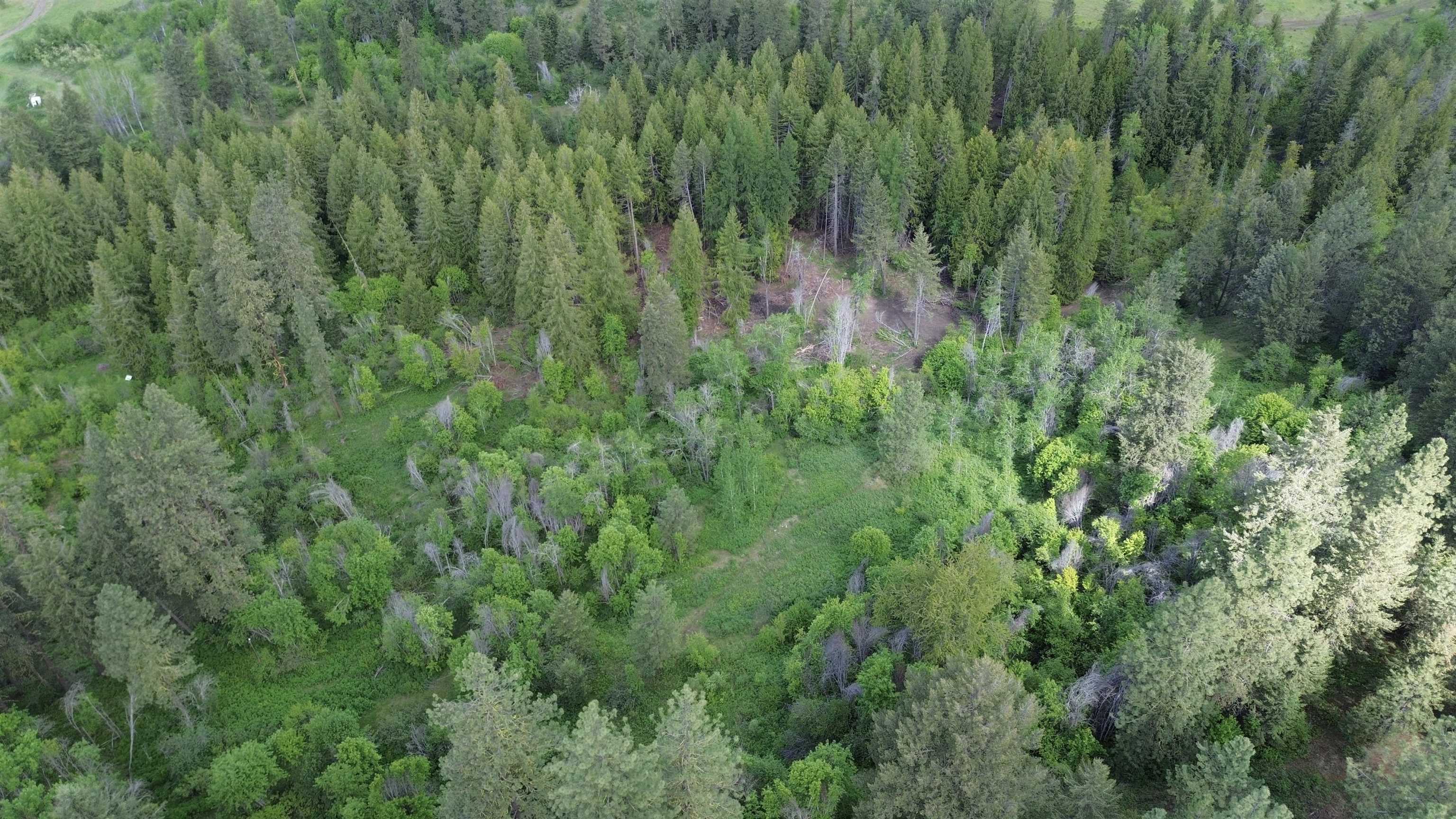 Property Photo: 3115 Beardslee Rd WA 99141