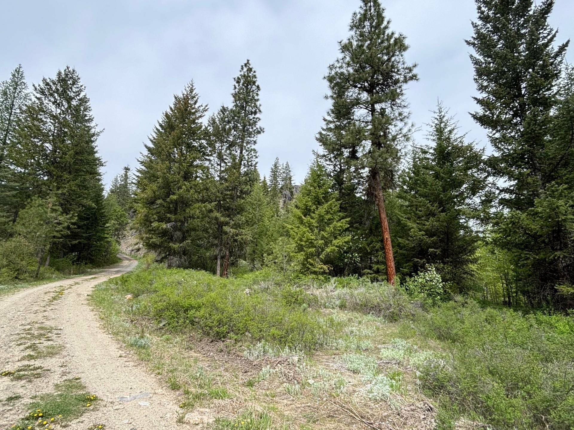 Property Photo: 1xx Rocky Canyon Rd 3629220014 WA 98855