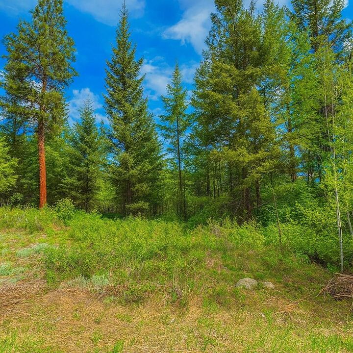Property Photo: 1xx Rocky Canyon Rd 3629220014 WA 98855
