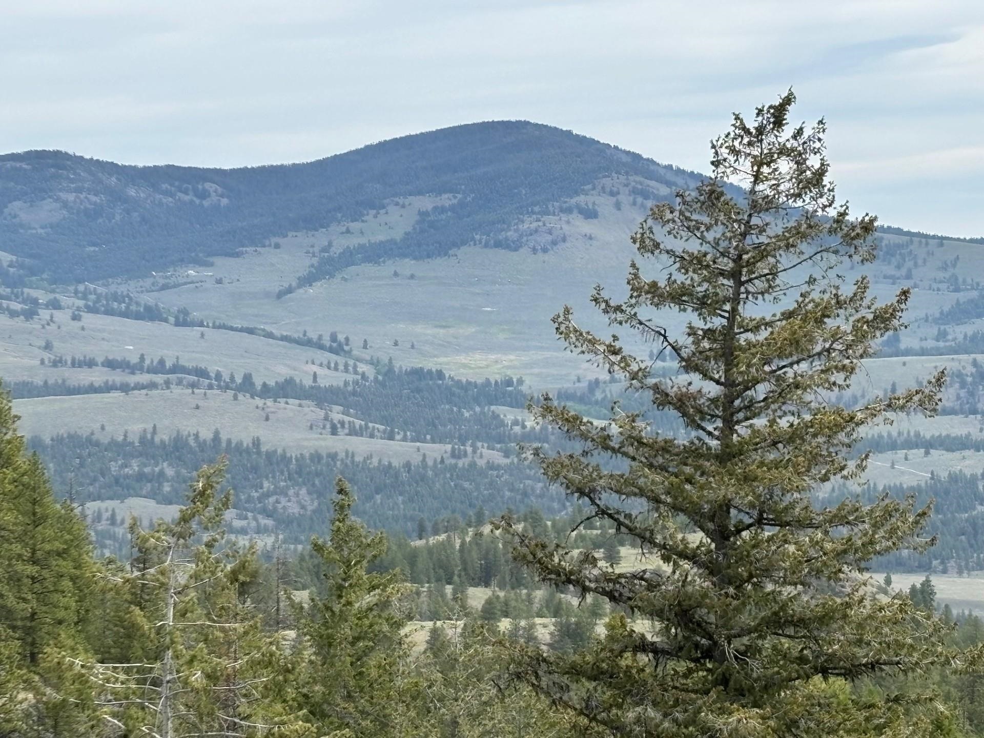 Property Photo: 11X Rocky Canyon Rd 3629220013 WA 98855