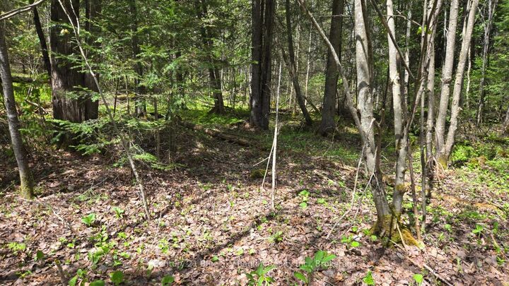 Property Photo:  Pt Lt 10 Con 16 Village Road  ON P0H 1Z0 