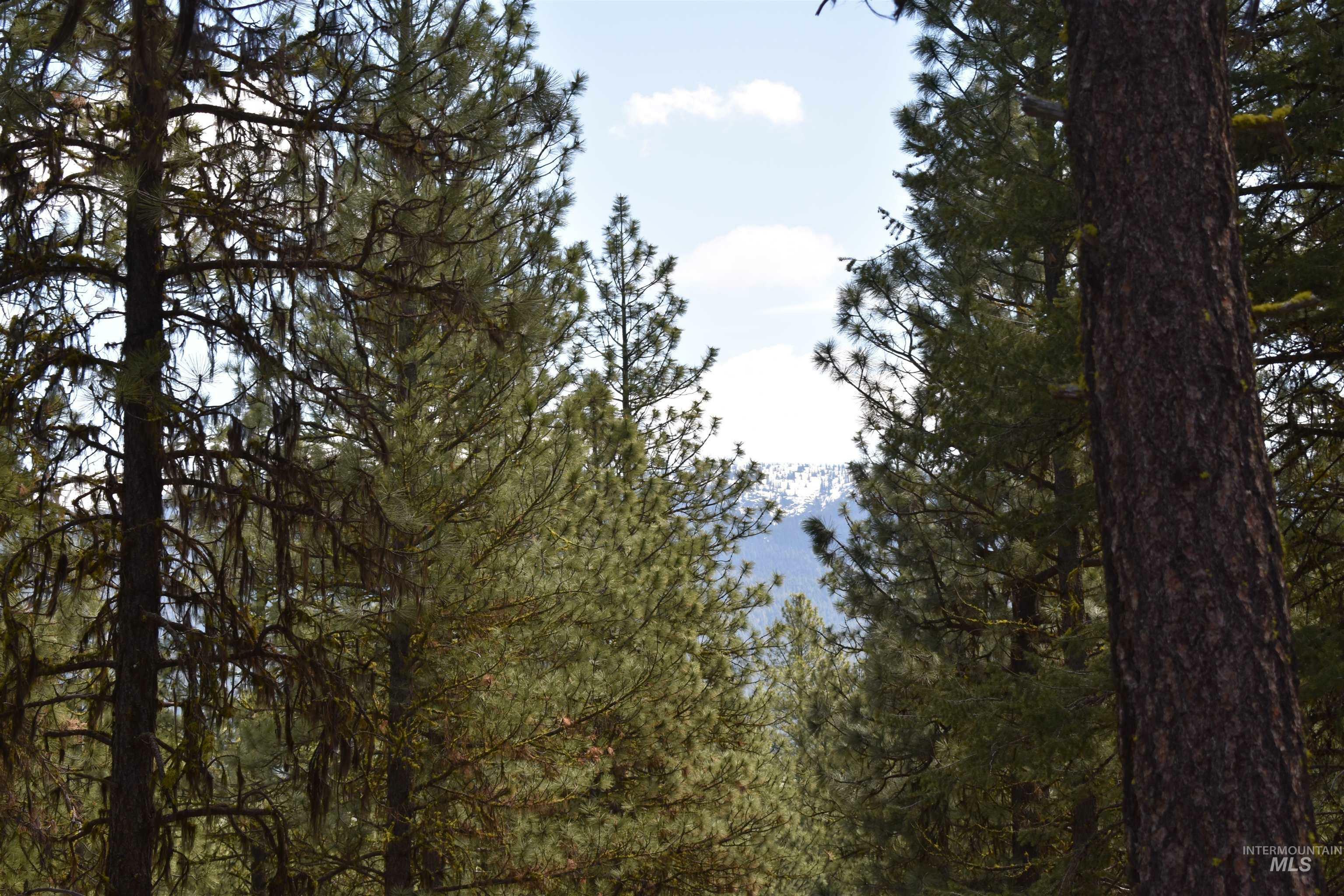 Property Photo: Syringa Drive ID 83654