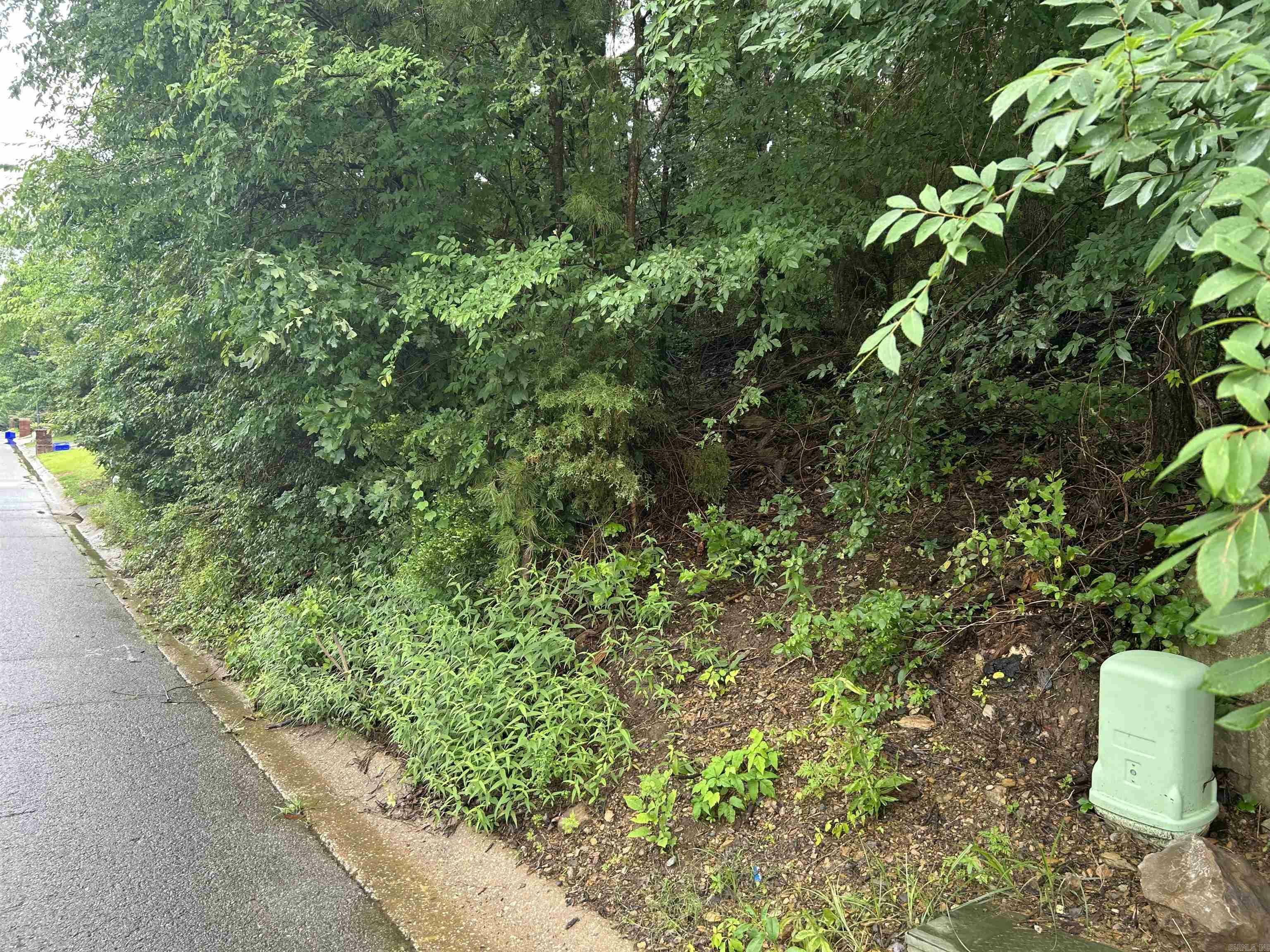 Property Photo: 26 Norfork Drive AR 72113